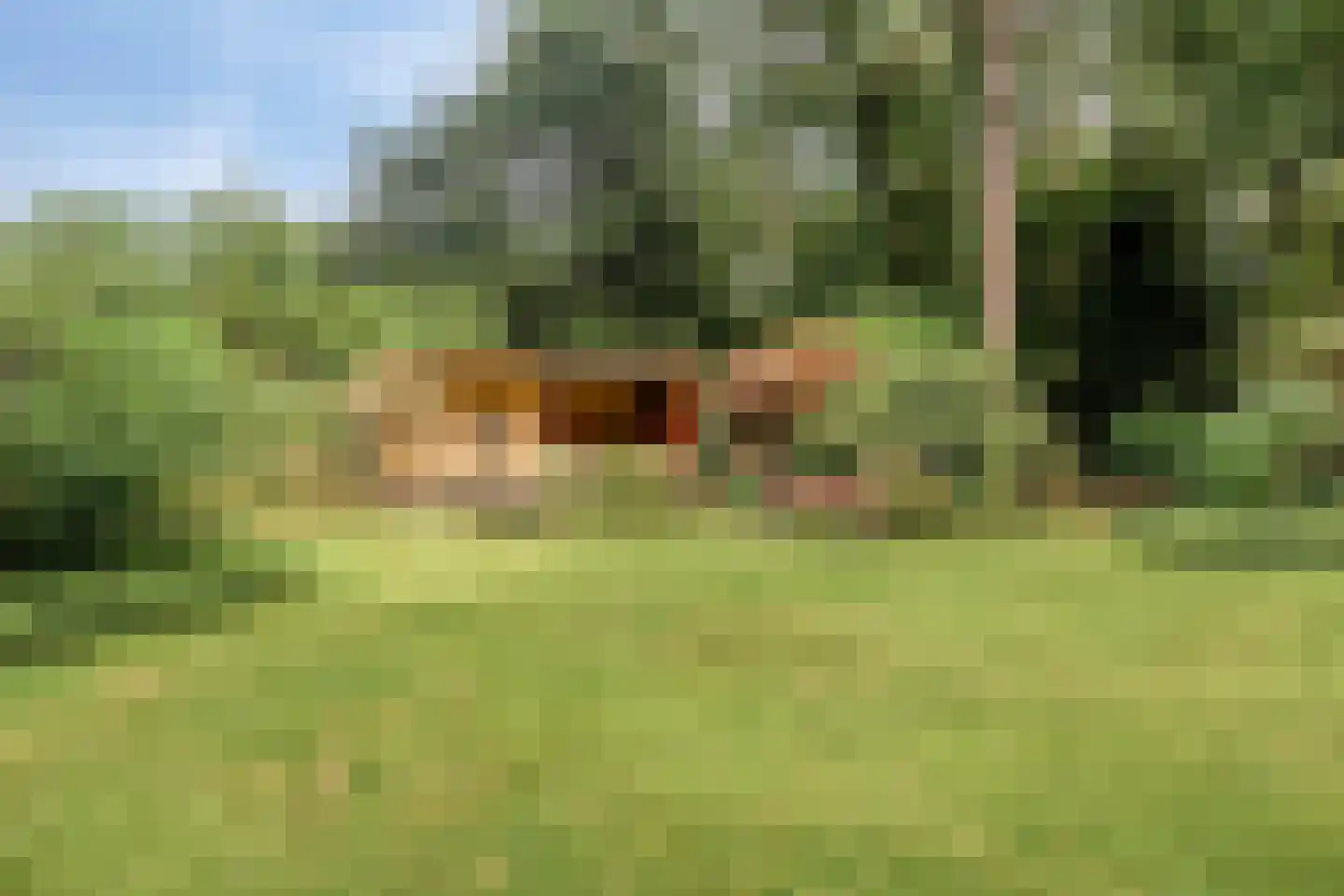 Louise de Colignylaan 10 Eerbeek thumbnail 6