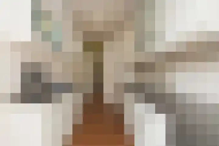 Louise de Colignylaan 2 Oegstgeest thumbnail 16