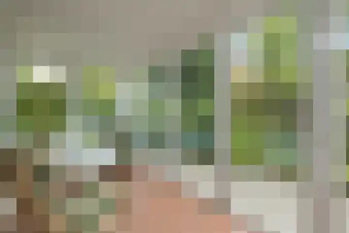 Louise de Colignylaan 2 Oegstgeest thumbnail 25