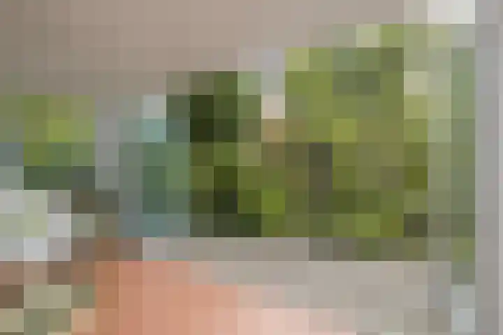Louise de Colignylaan 2 Oegstgeest thumbnail 26