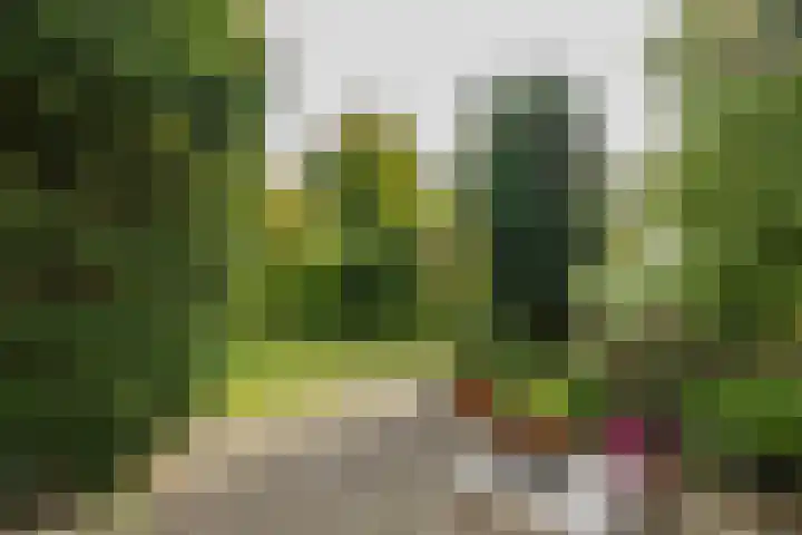 Louise de Colignylaan 2 Oegstgeest thumbnail 27
