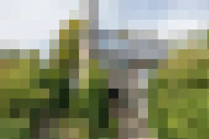 Louise de Colignylaan 2 Oegstgeest thumbnail 29