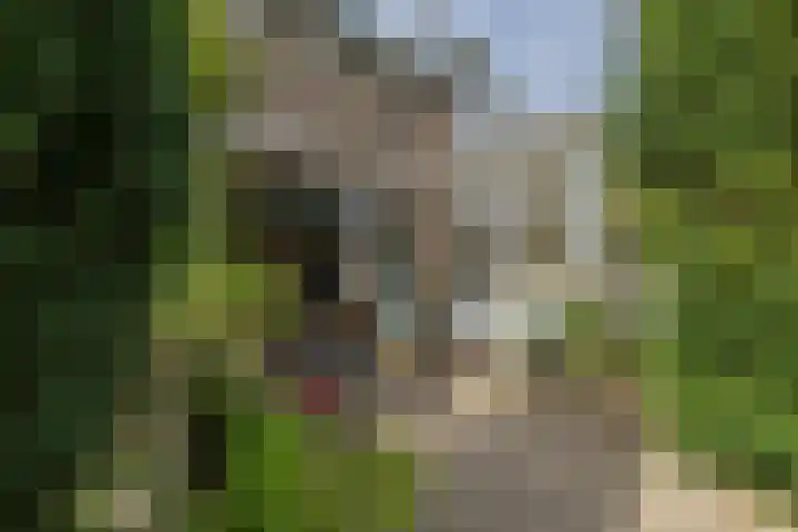 Louise de Colignylaan 2 Oegstgeest thumbnail 30
