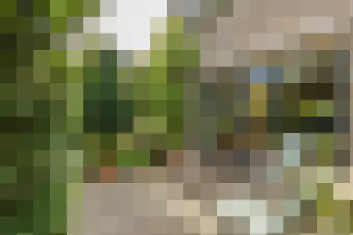Louise de Colignylaan 2 Oegstgeest thumbnail 31