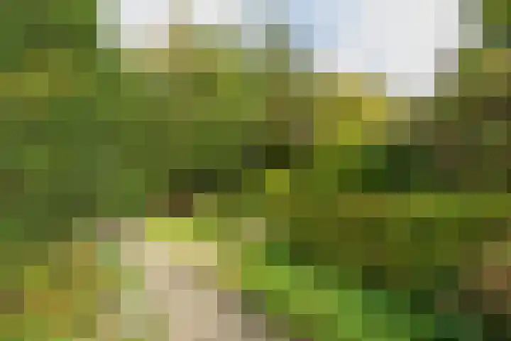 Louise de Colignylaan 2 Oegstgeest thumbnail 32
