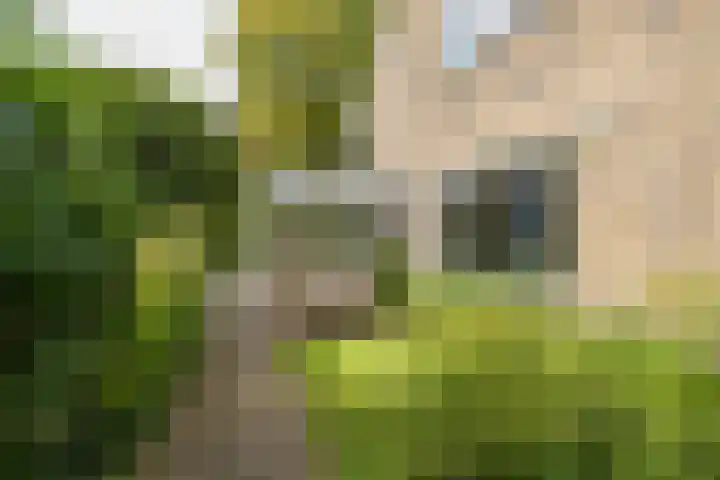 Louise de Colignylaan 2 Oegstgeest thumbnail 33