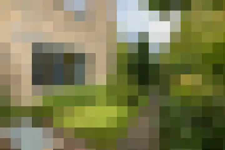 Louise de Colignylaan 2 Oegstgeest thumbnail 34