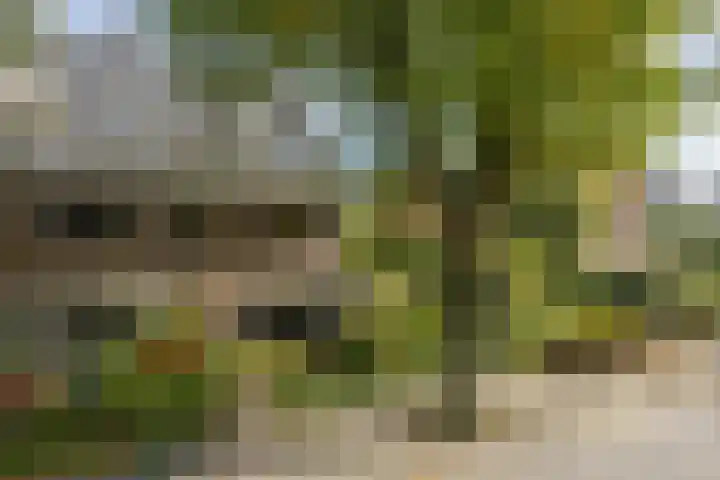 Louise de Colignylaan 2 Oegstgeest thumbnail 4