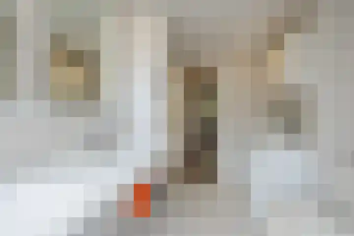 Louise de Colignylaan 2 Oegstgeest thumbnail 42