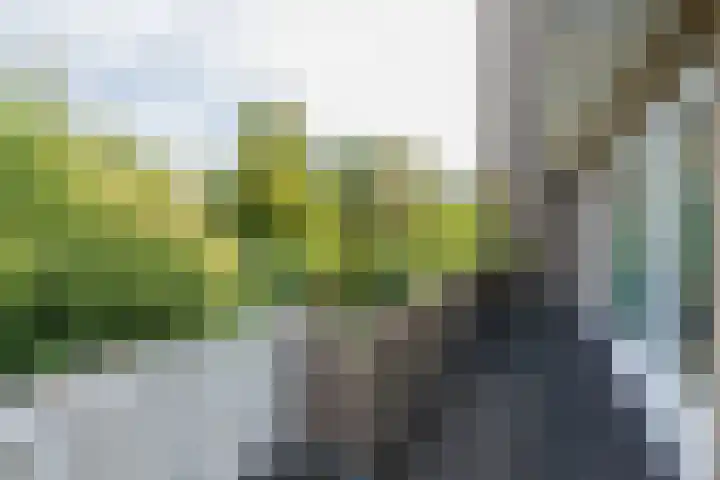 Louise de Colignylaan 2 Oegstgeest thumbnail 47