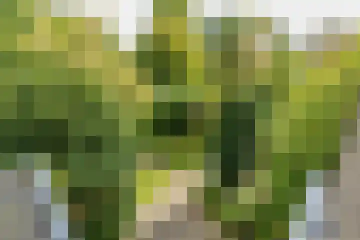 Louise de Colignylaan 2 Oegstgeest thumbnail 48
