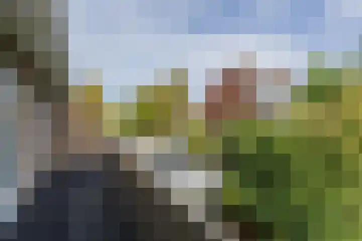 Louise de Colignylaan 2 Oegstgeest thumbnail 49