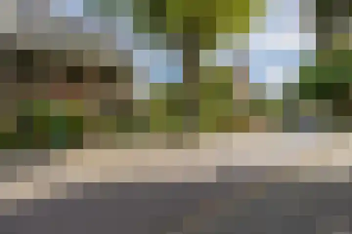 Louise de Colignylaan 2 Oegstgeest thumbnail 5