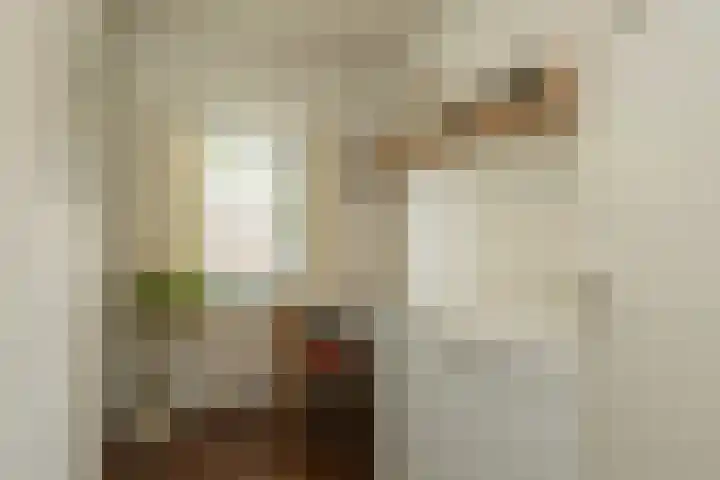 Louise de Colignylaan 2 Oegstgeest thumbnail 50