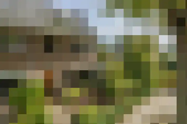 Louise de Colignylaan 2 Oegstgeest thumbnail 6