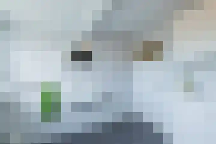 Louise de Colignylaan 2 Oegstgeest thumbnail 60