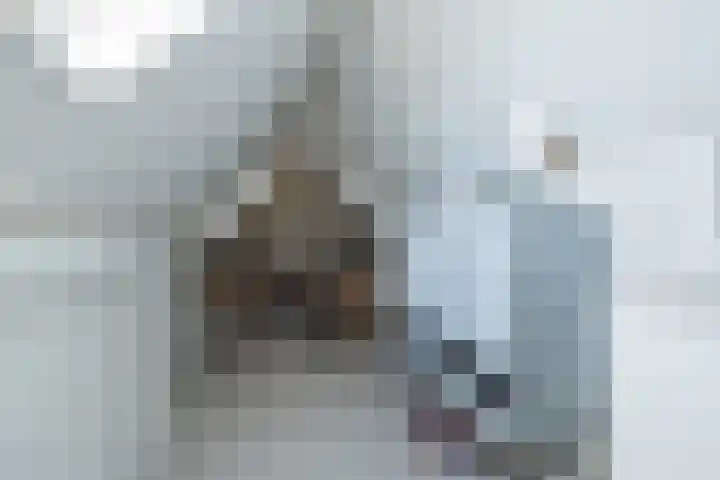 Louise de Colignylaan 2 Oegstgeest thumbnail 66