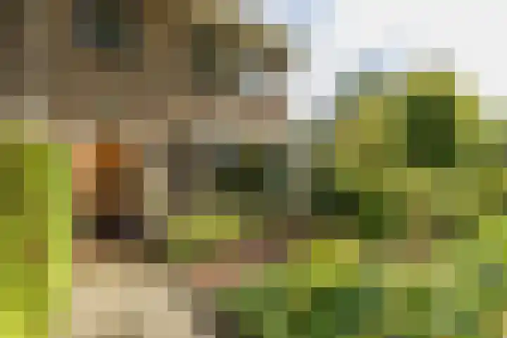 Louise de Colignylaan 2 Oegstgeest thumbnail 7