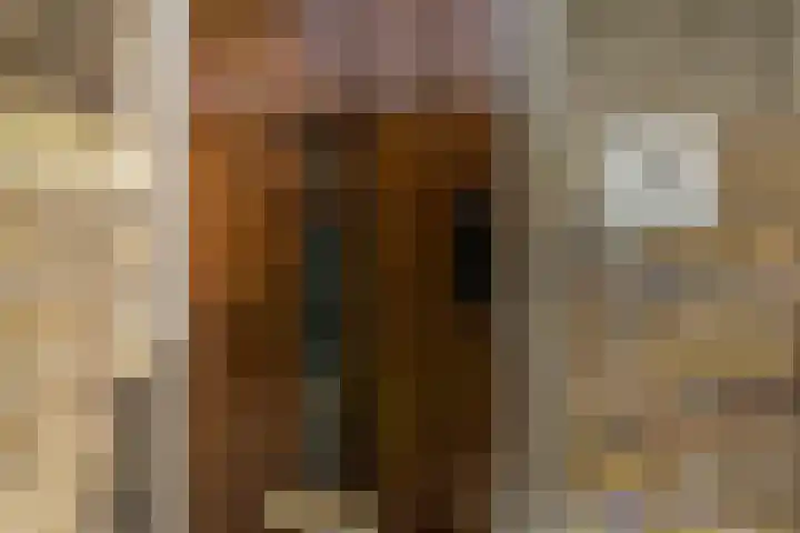 Louise de Colignylaan 2 Oegstgeest thumbnail 8