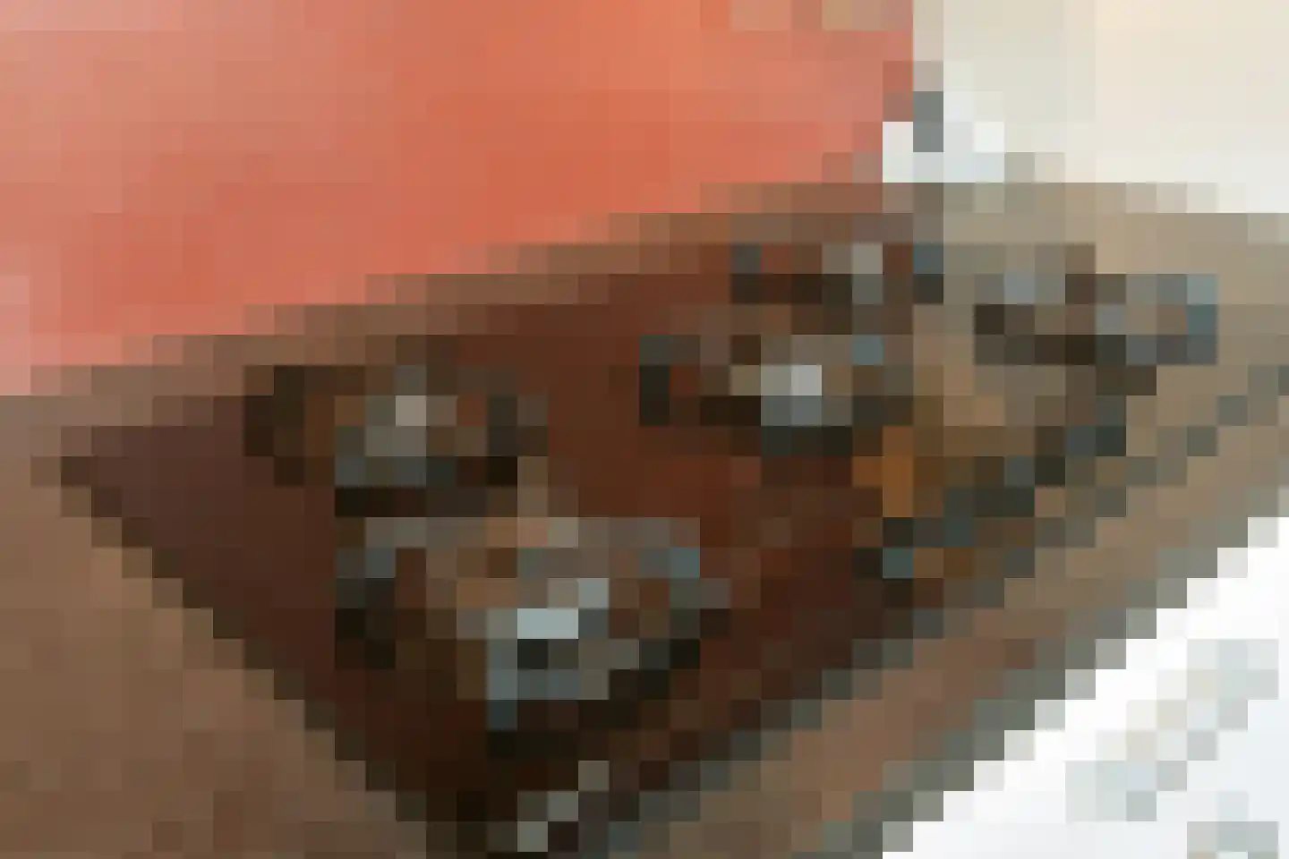 Louise de Colignylaan 22 Lochem thumbnail 17