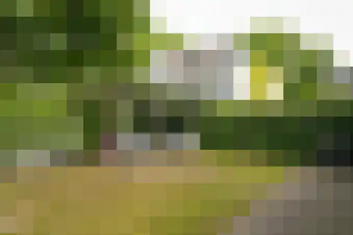 Louise de Colignylaan 23 Vught thumbnail 36