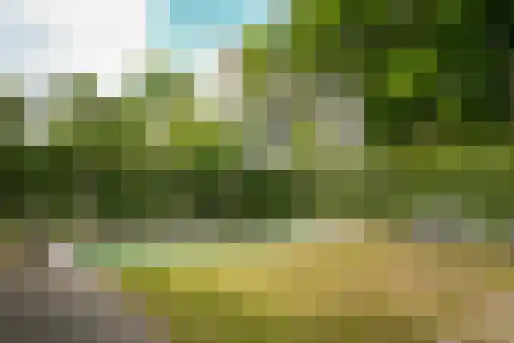Louise de Colignylaan 23 Vught thumbnail 38