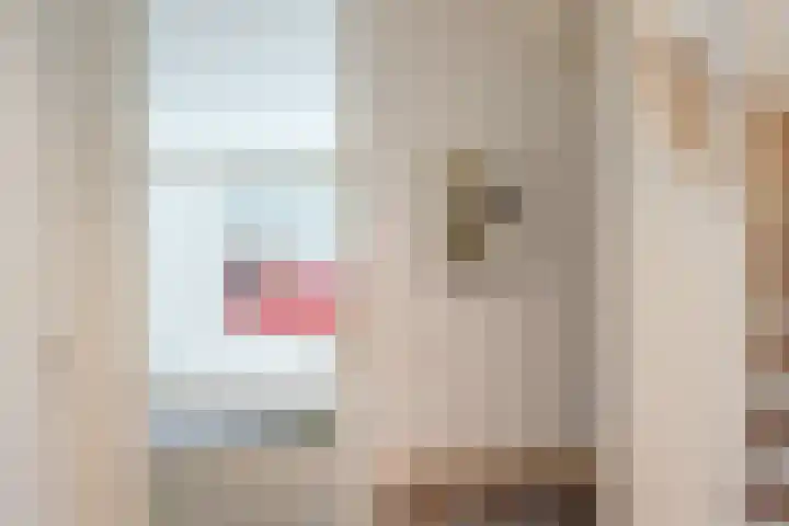 Louise de Colignylaan 23 Vught thumbnail 7