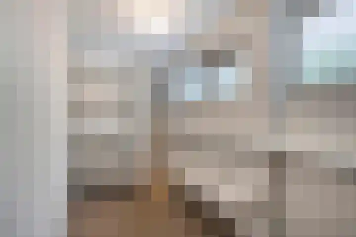 Louise de Colignylaan 25 Rotterdam thumbnail 27