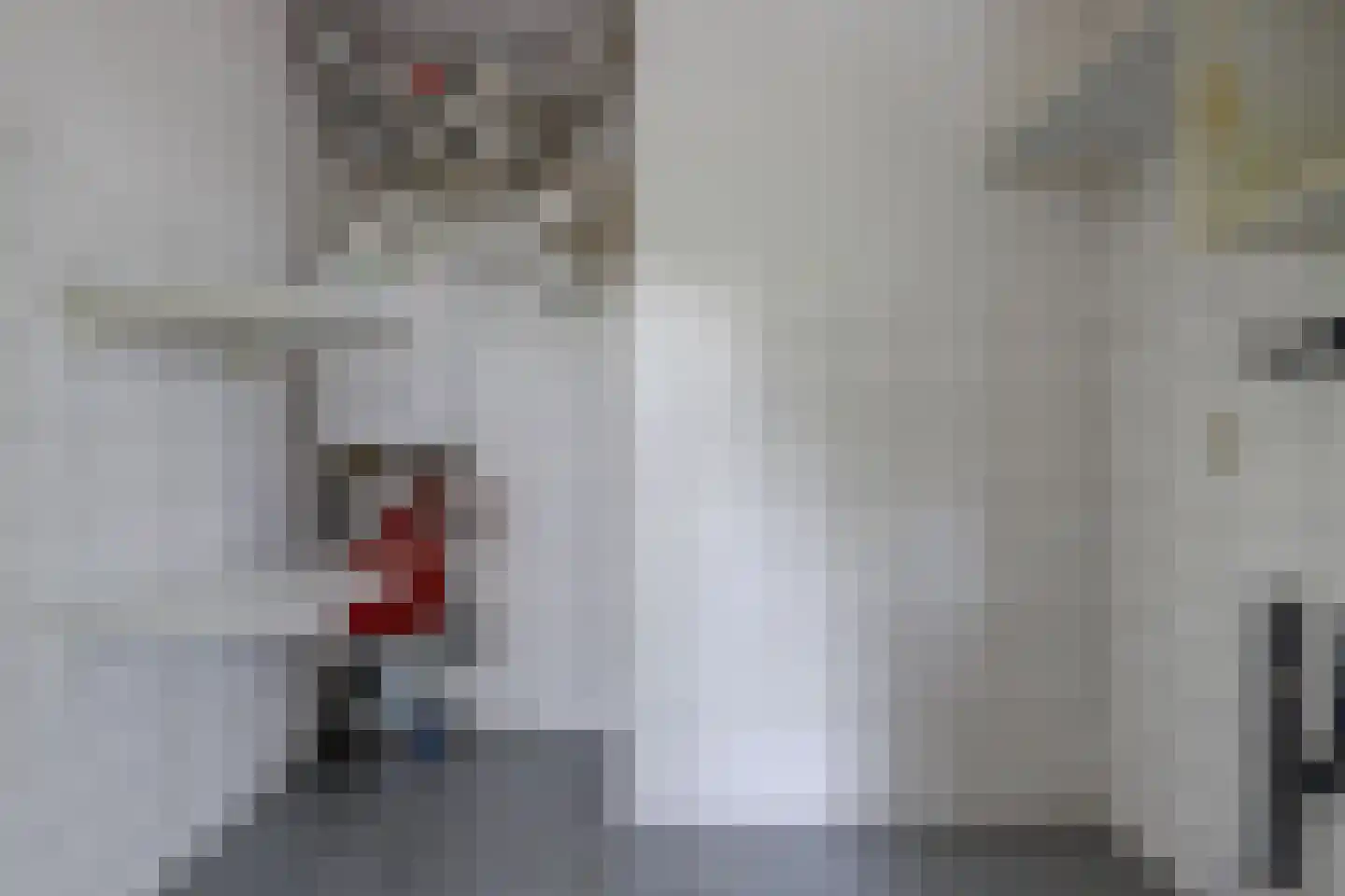 Louise de Colignylaan 3 Goes thumbnail 15