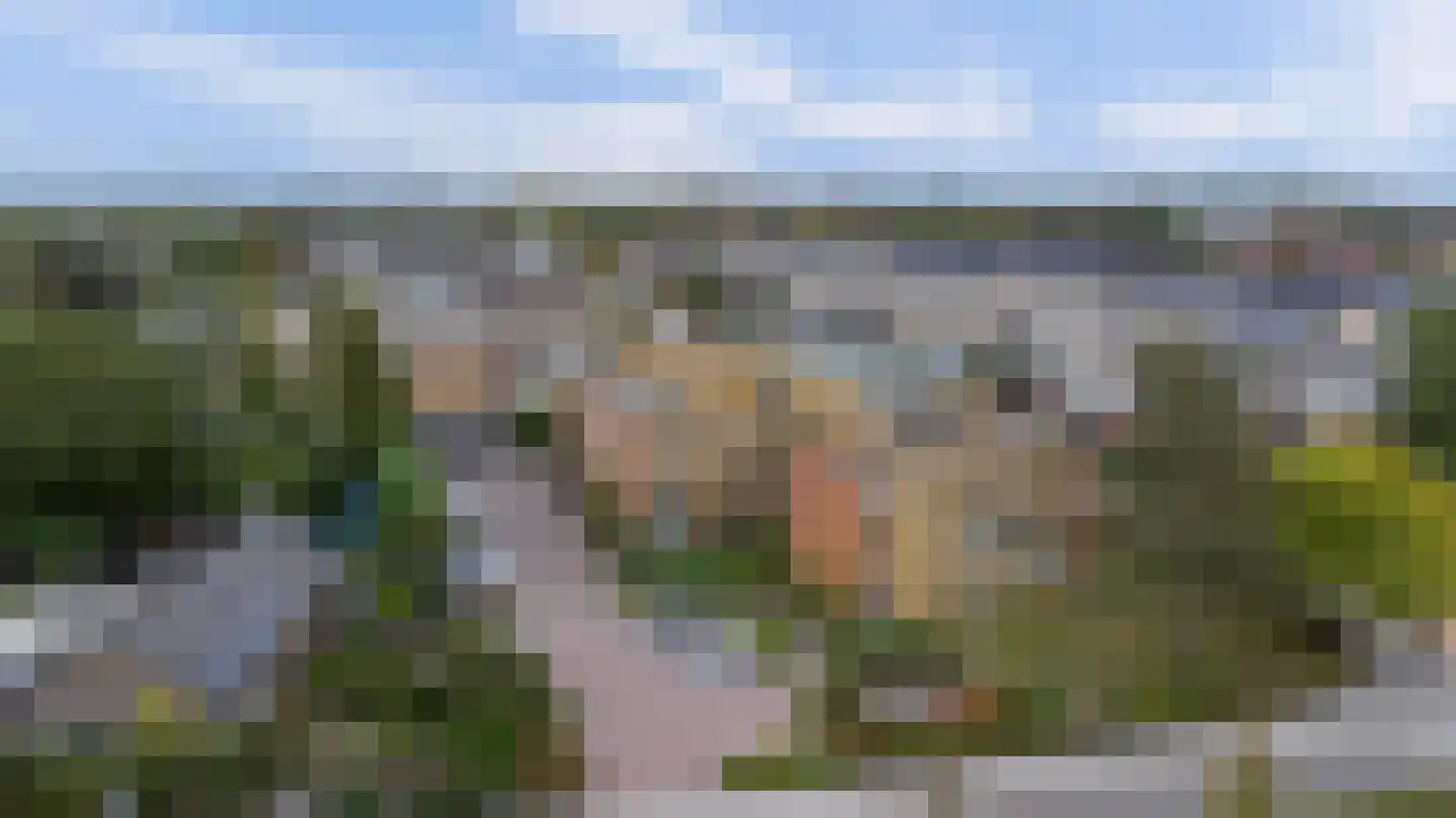Louise de Colignylaan 3 Goes thumbnail 26