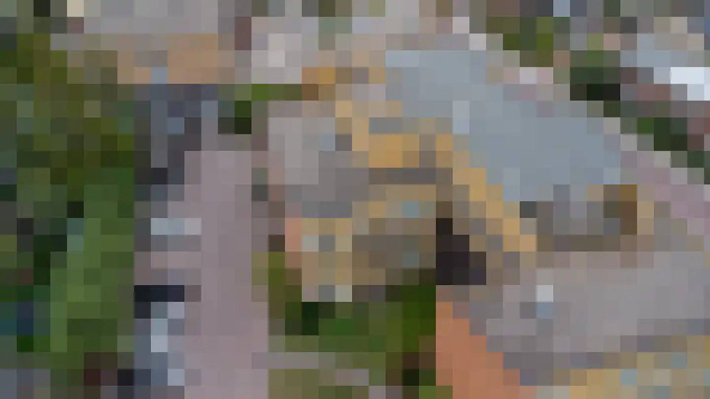 Louise de Colignylaan 3 Goes thumbnail 27