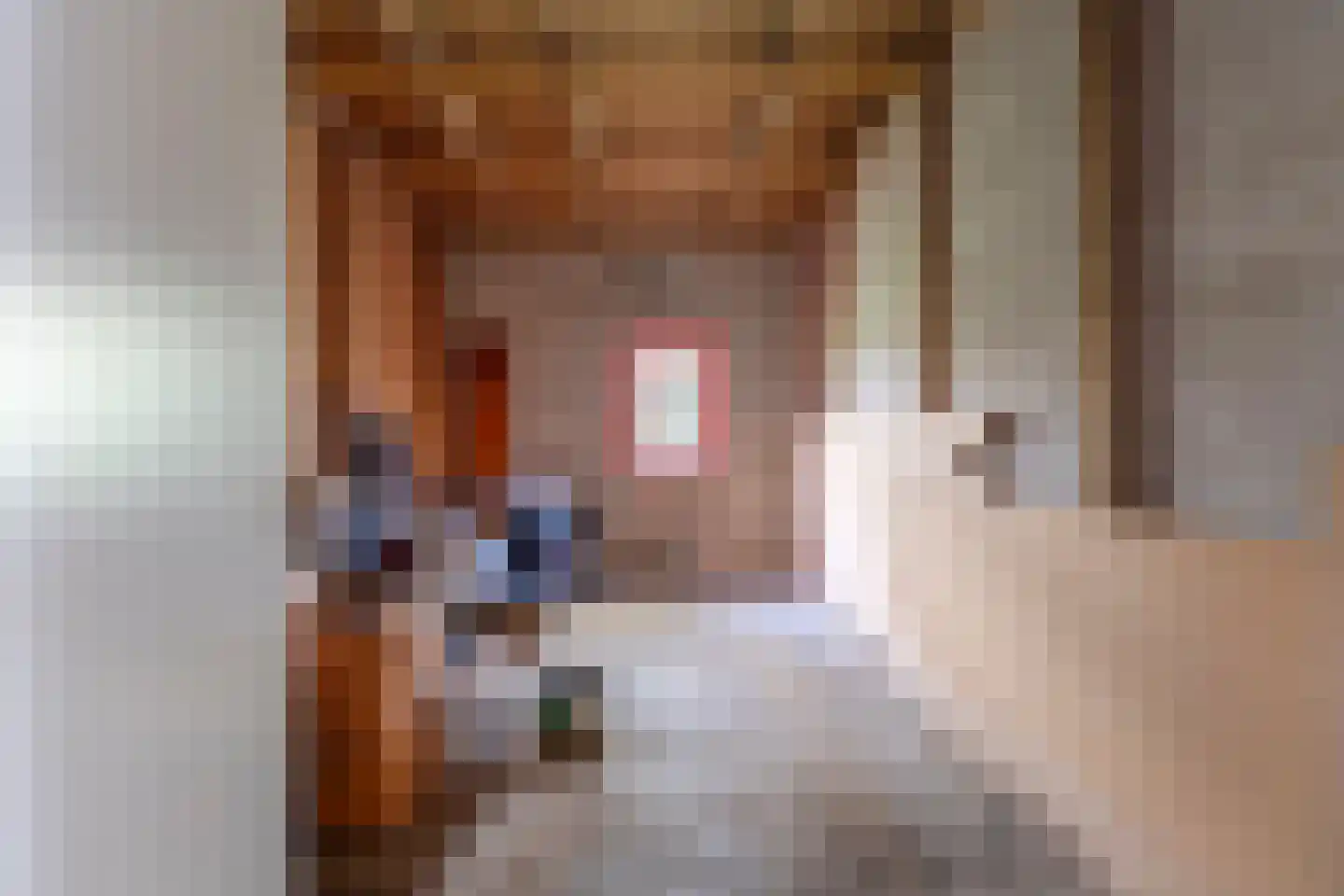 Louise de Colignylaan 3 Katwijk thumbnail 10