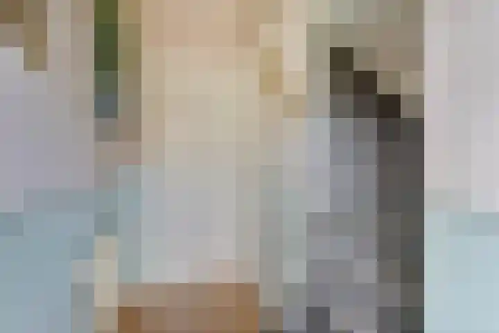 Louise de Colignylaan 32 Lochem thumbnail 4