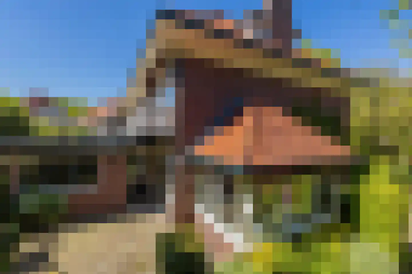 Louise de Colignylaan 38 Oegstgeest thumbnail 22