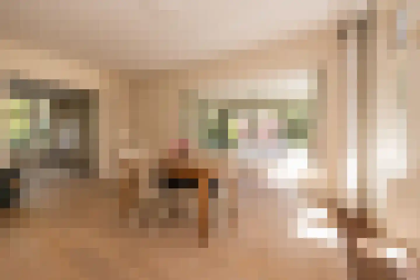 Louise de Colignylaan 38 Oegstgeest thumbnail 8