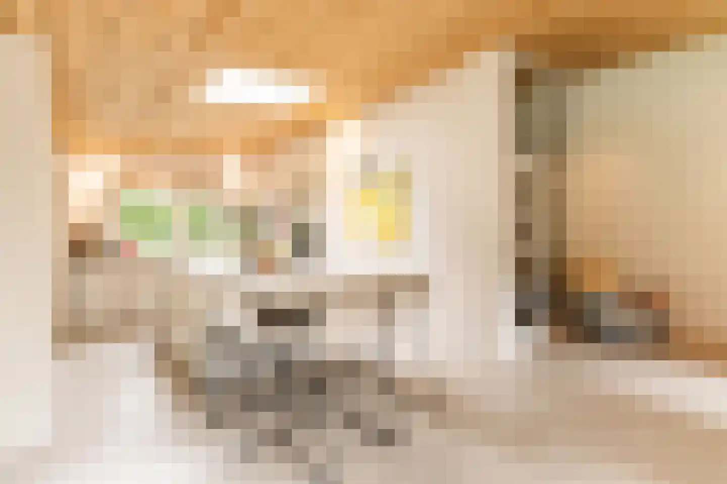 Louise de Colignylaan 4 Aerdenhout thumbnail 10