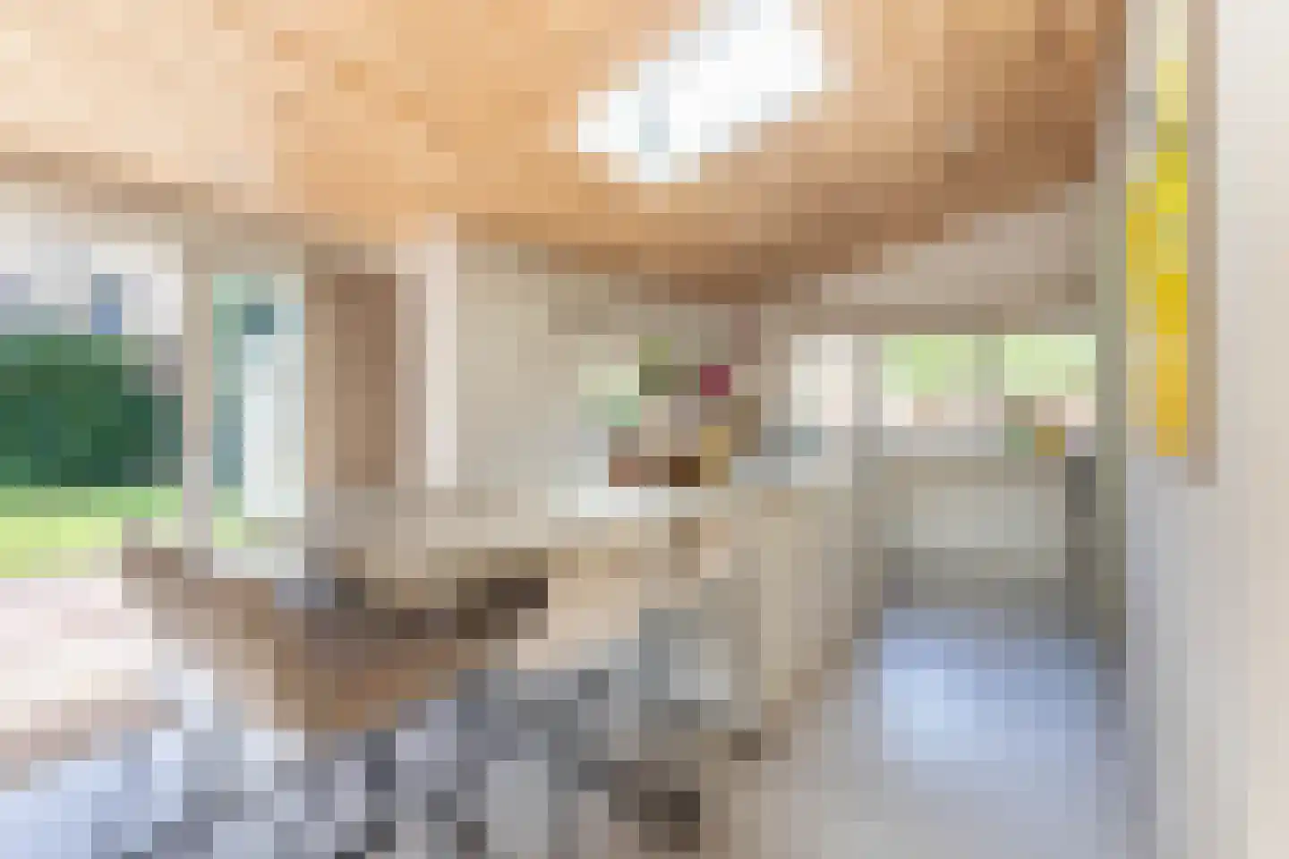 Louise de Colignylaan 4 Aerdenhout thumbnail 11