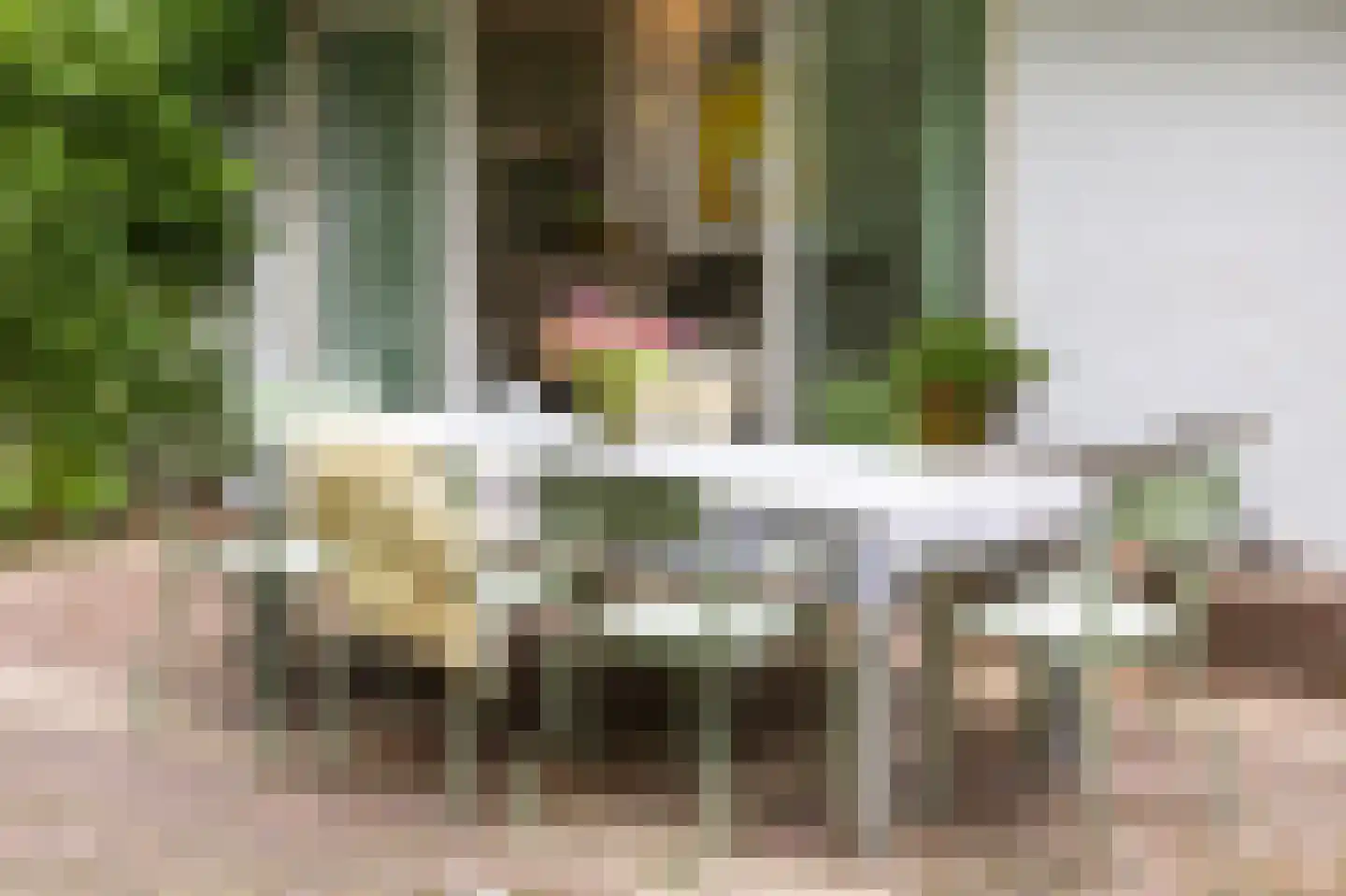 Louise de Colignylaan 4 Aerdenhout thumbnail 37