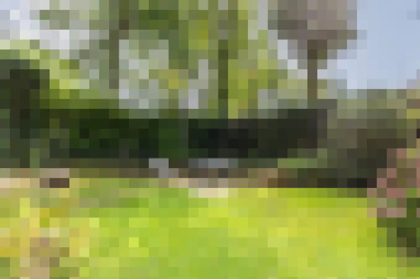 Louise de Colignylaan 4 Aerdenhout thumbnail 38