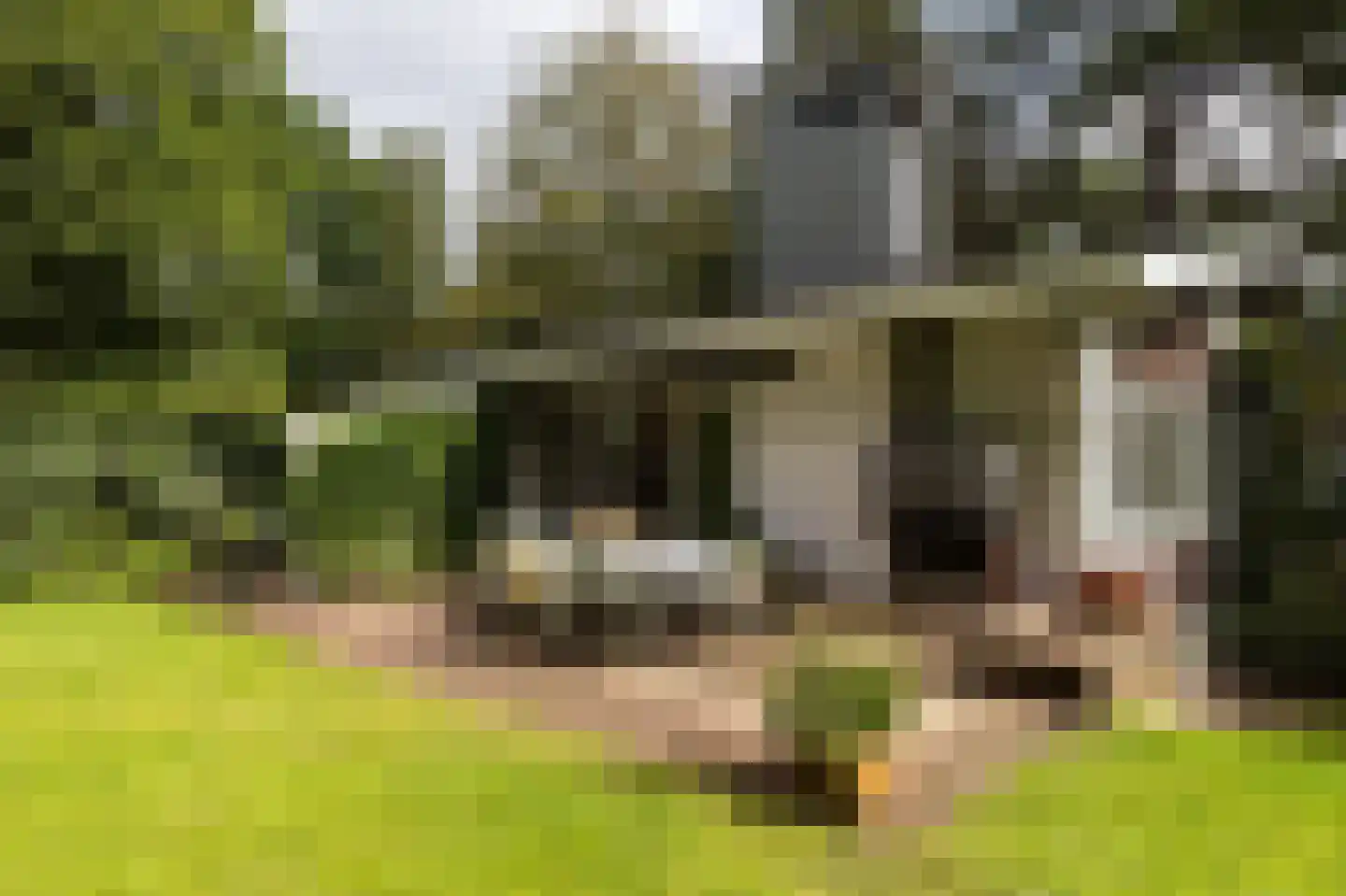 Louise de Colignylaan 4 Aerdenhout thumbnail 40