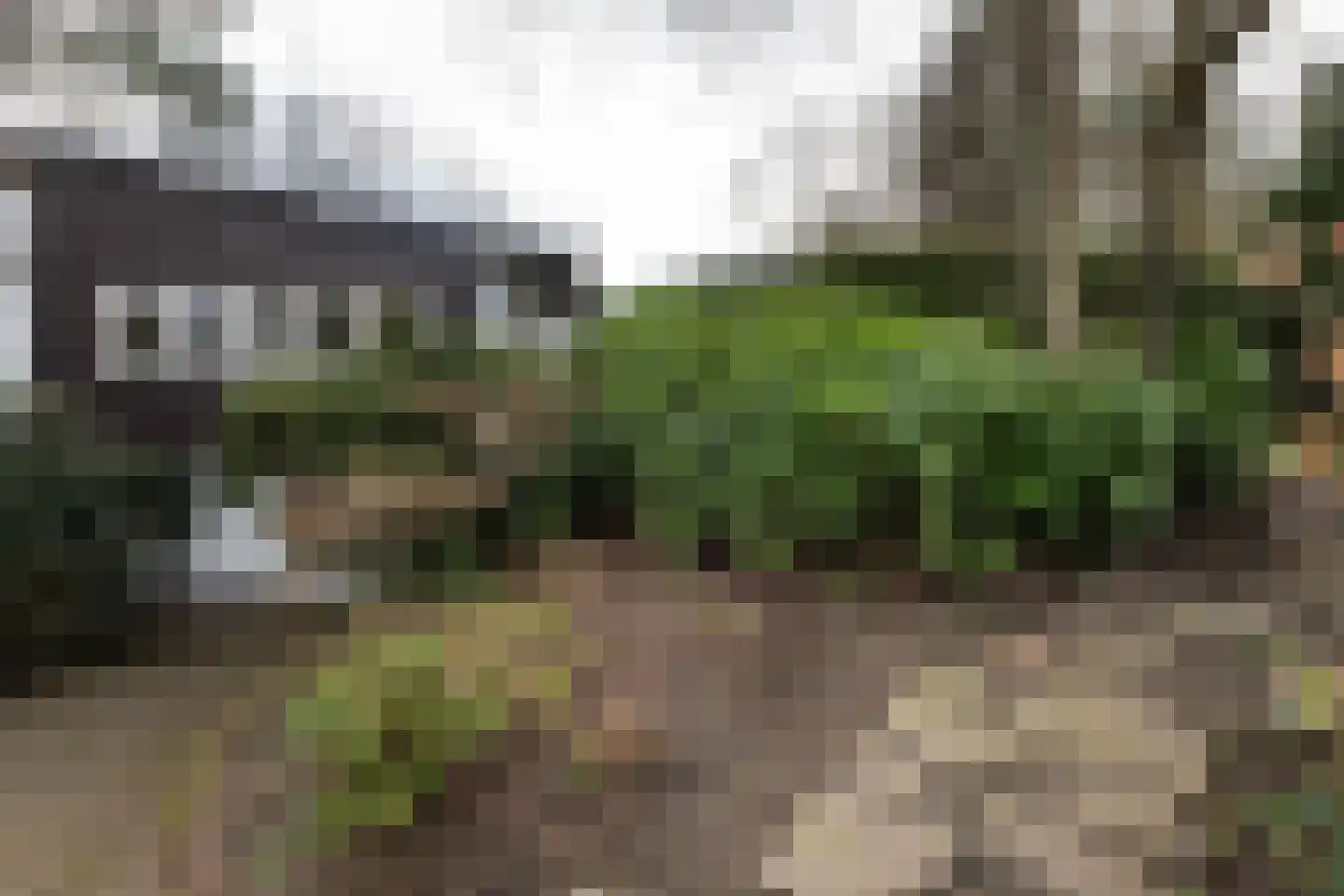 Louise de Colignylaan 4 Aerdenhout thumbnail 47