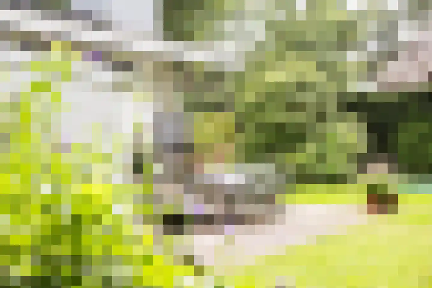 Louise de Colignylaan 4 Aerdenhout thumbnail 5