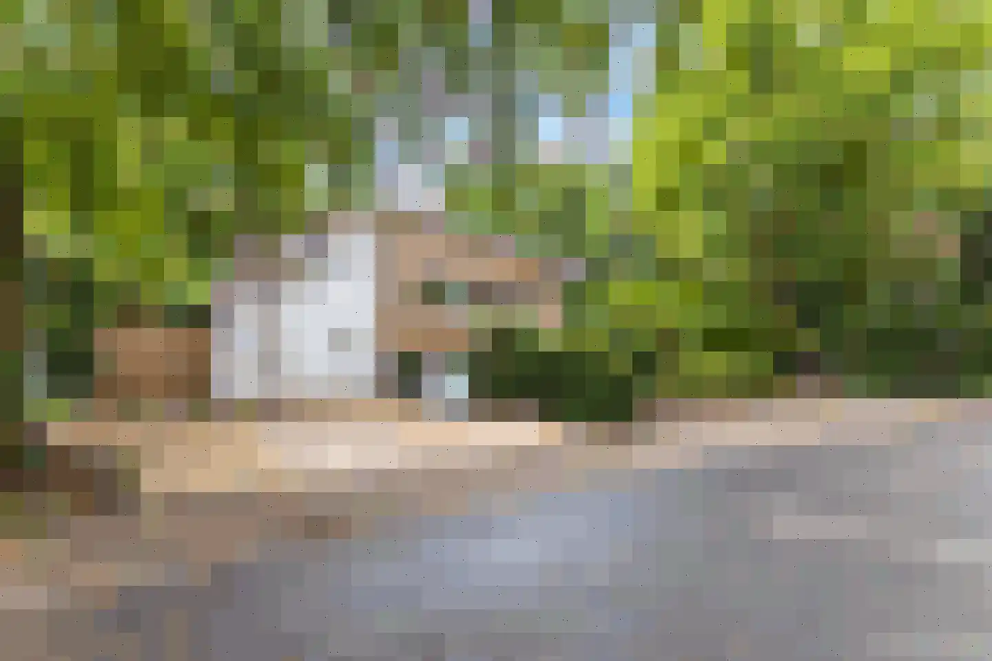 Louise de Colignylaan 4 Aerdenhout thumbnail 6