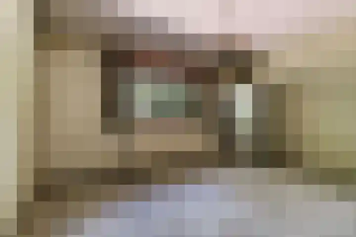 Louise de Colignylaan 4 Eerbeek thumbnail 12