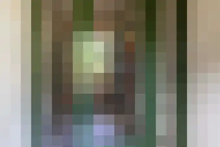 Louise de Colignylaan 4 Eerbeek thumbnail 19