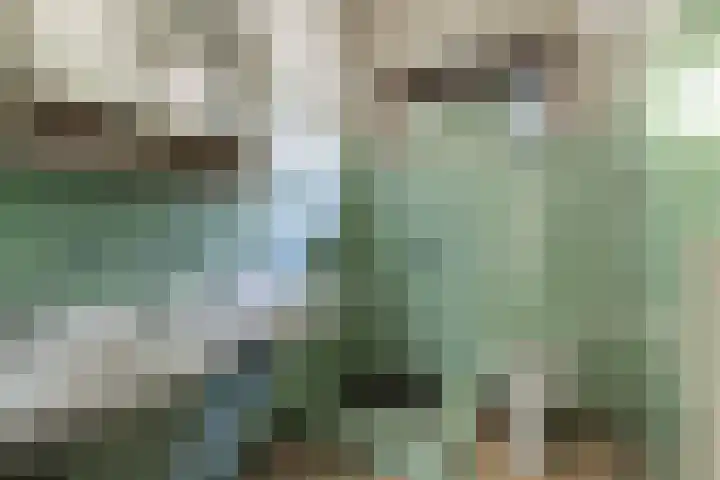 Louise de Colignylaan 4 Eerbeek thumbnail 20