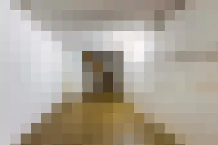 Louise de Colignylaan 4 Eerbeek thumbnail 22