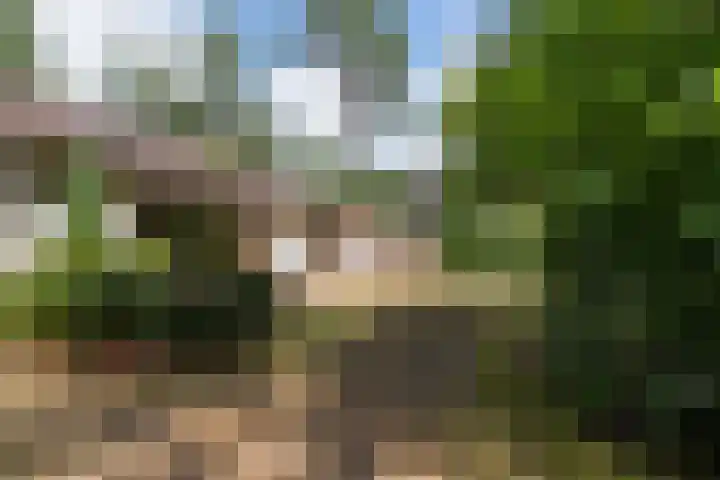 Louise de Colignylaan 4 Eerbeek thumbnail 27