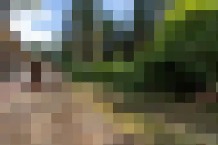 Louise de Colignylaan 4 Eerbeek thumbnail 28