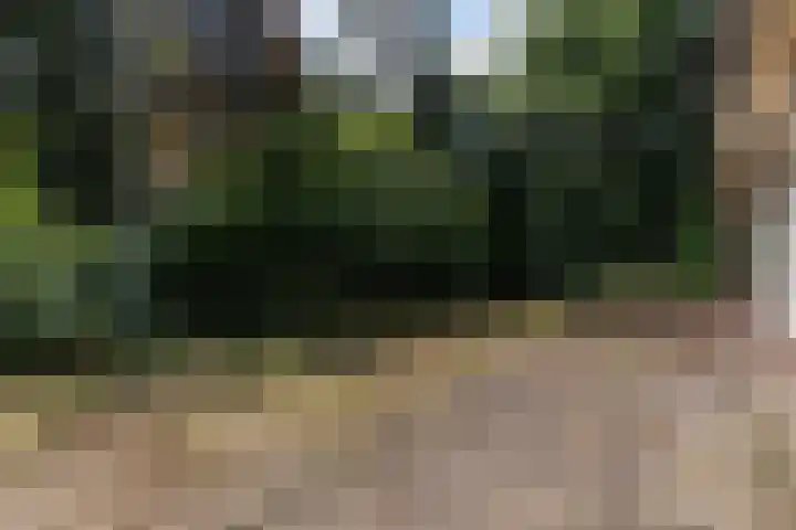 Louise de Colignylaan 4 Eerbeek thumbnail 29